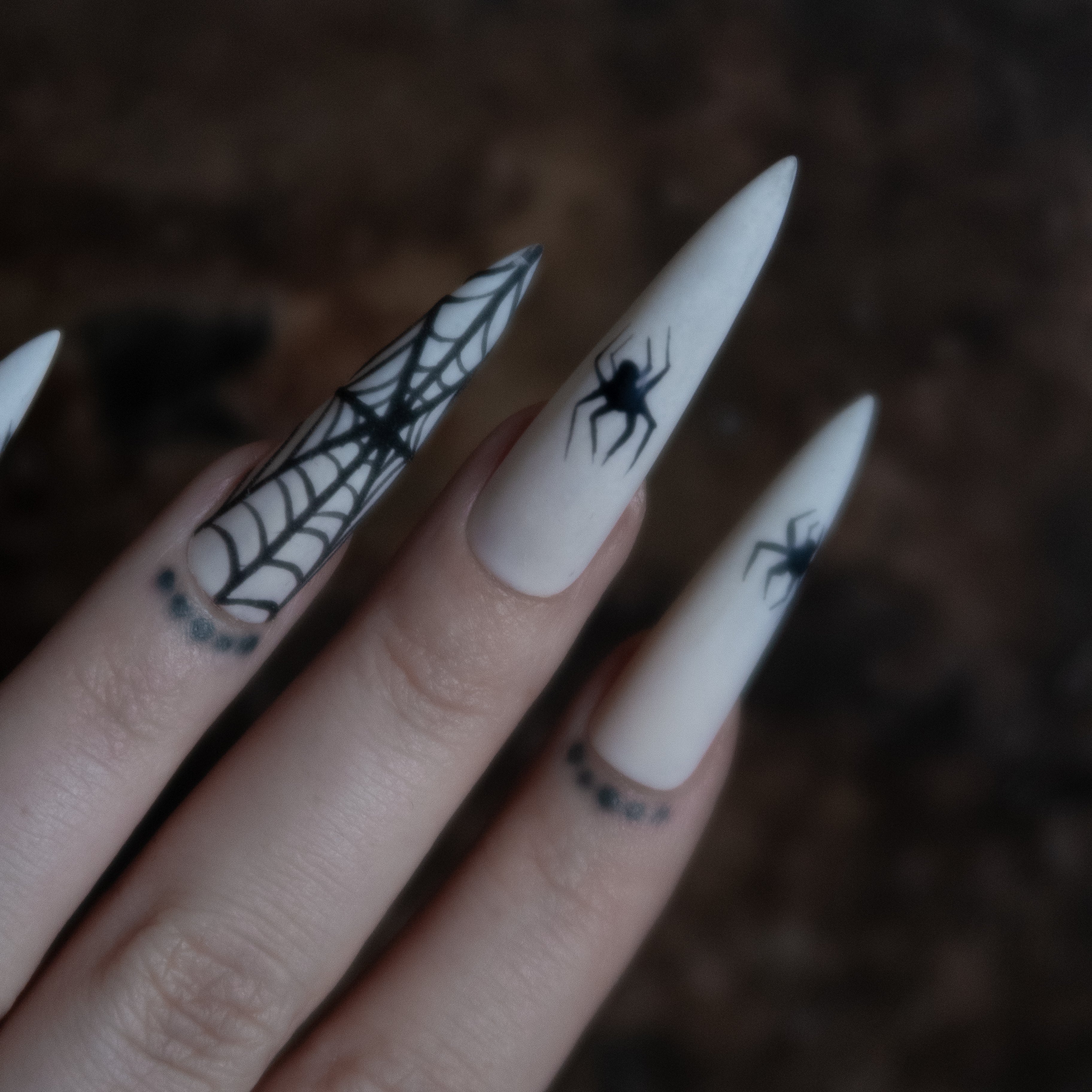 SPOOKY SIGHTS